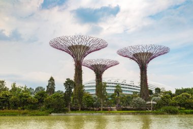 Singapur - 23 Haziran 2018: Supertree Grove Gardens koy ve Marina Bay Sands hotel yaz günü adlı yakınlarında Singapur serada tarafından