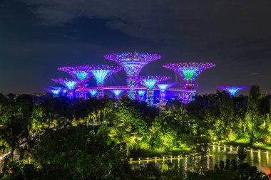 Singapur - 23 Haziran 2018: Supertree Grove Gardens Körfez Marina Bay Sands hotel yaz geceleri yakınındaki Singapur'da