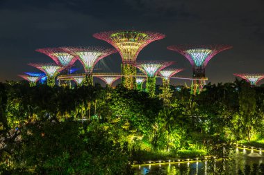 Singapur - 23 Haziran 2018: Supertree Grove Gardens Körfez Marina Bay Sands hotel yaz geceleri yakınındaki Singapur'da