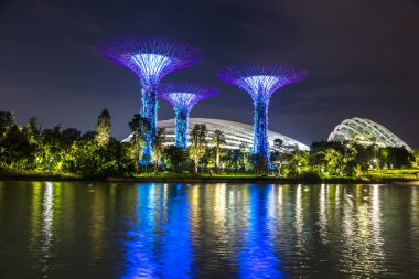 Singapur - 23 Haziran 2018: Supertree Grove Gardens koy ve Marina Bay Sands hotel yaz geceleri yakınlarında Singapur serada tarafından