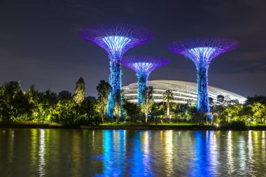 Singapur - 23 Haziran 2018: Supertree Grove Gardens koy ve Marina Bay Sands hotel yaz geceleri yakınlarında Singapur serada tarafından