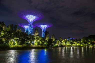 Singapur - 23 Haziran 2018: Supertree Grove Gardens Körfez Marina Bay Sands hotel yaz geceleri yakınındaki Singapur'da