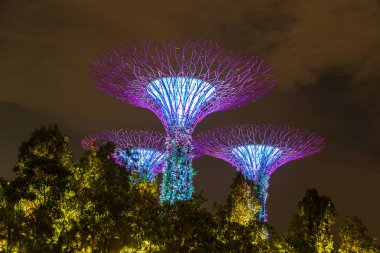 Singapur - 23 Haziran 2018: Supertree Grove Gardens Körfez Marina Bay Sands hotel yaz geceleri yakınındaki Singapur'da
