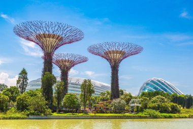 Singapur - 23 Haziran 2018: Supertree Grove Gardens koy ve Marina Bay Sands hotel yaz günü adlı yakınlarında Singapur serada tarafından