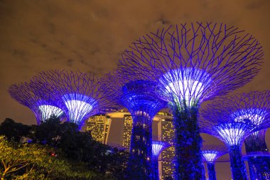 Singapur - 23 Haziran 2018: Supertree Grove Gardens Körfez Marina Bay Sands hotel yaz geceleri yakınındaki Singapur'da