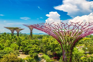 SINGAPORE - 23 Haziran 2018 'de Marina Körfezi Sands Oteli yakınlarındaki Singapur Körfezi yakınlarındaki Gardens' taki Supertree Grove