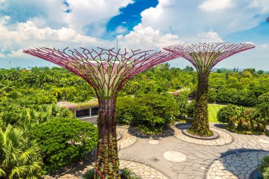 SINGAPORE - 23 Haziran 2018 'de Marina Körfezi Sands Oteli yakınlarındaki Singapur Körfezi yakınlarındaki Gardens' taki Supertree Grove