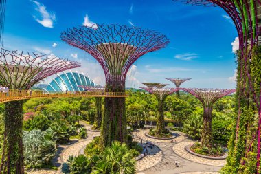 Singapur - 23 Haziran 2018: Supertree Grove Gardens Körfez Marina Bay Sands hotel yaz geceleri yakınındaki Singapur geçit