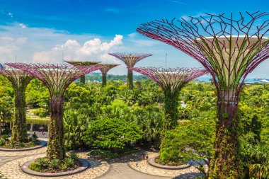 SINGAPORE - 23 Haziran 2018 'de Marina Körfezi Sands Oteli yakınlarındaki Singapur Körfezi yakınlarındaki Gardens' taki Supertree Grove