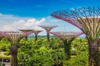 SINGAPORE - 23 Haziran 2018 'de Marina Körfezi Sands Oteli yakınlarındaki Singapur Körfezi yakınlarındaki Gardens' taki Supertree Grove
