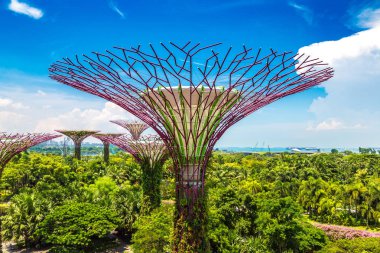 SINGAPORE - 23 Haziran 2018 'de Marina Körfezi Sands Oteli yakınlarındaki Singapur Körfezi yakınlarındaki Gardens' taki Supertree Grove