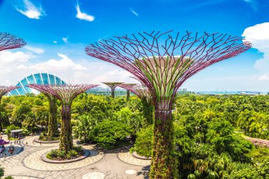 Singapur - 23 Haziran 2018: Supertree Grove Gardens koy ve Marina Bay Sands hotel yaz günü adlı yakınlarında Singapur serada tarafından