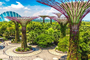 Singapur - 23 Haziran 2018: Supertree Grove Gardens koy ve Marina Bay Sands hotel yaz günü adlı yakınlarında Singapur serada tarafından