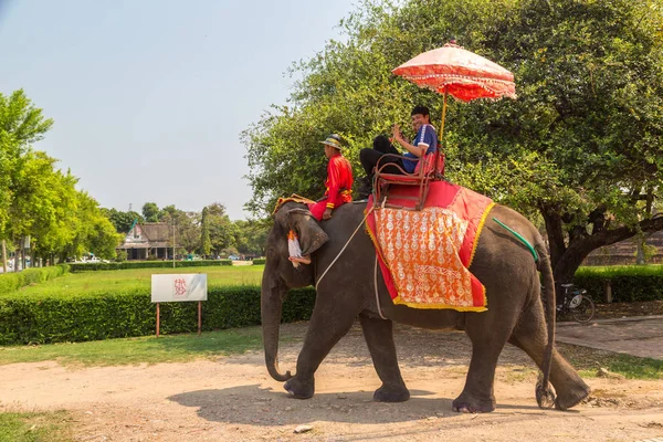 Ayutthaya, Tayland - 22 Mart 2018: bir yaz günü antik kentin Ayutthaya, Tayland bir fil sürme turist