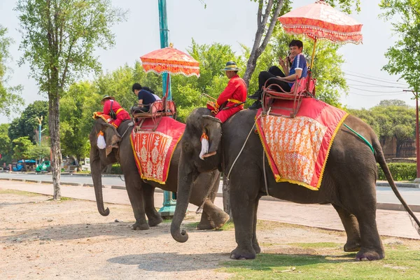 Ayutthaya, Tayland - 22 Mart 2018: bir yaz günü antik kentin Ayutthaya, Tayland bir fil sürme turist