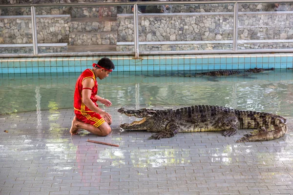 Pattaya, Tayland - 29 Mart 2018: Timsah gösterisinde bir yaz günü Pattaya, Tayland