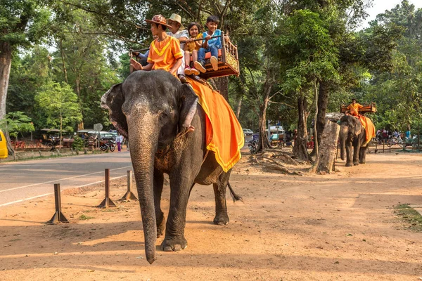 Angkor Wat, Kamboçya - 15 Mart 2018: Turist vasıl Angkor Wat, Siem Reap, Kamboçya'da bir yaz günü yakınındaki alan bir fil binmek