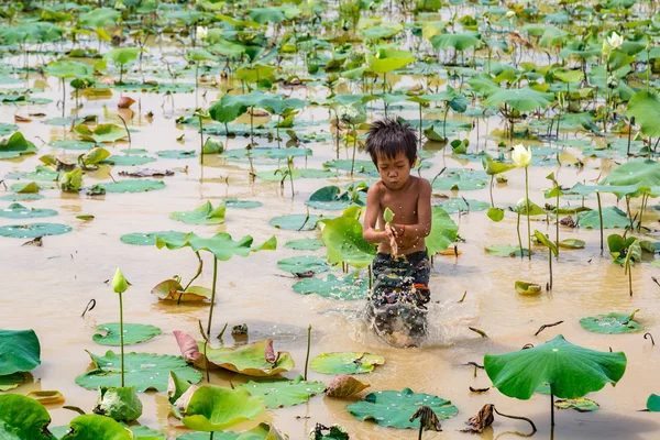Siem Reap, Kamboçya - 11 Haziran 2018: Lotus Lotus çiftliğinin yakınlarında Siem Reap, Kamboçya'da bir yaz günü sahasının çocuk