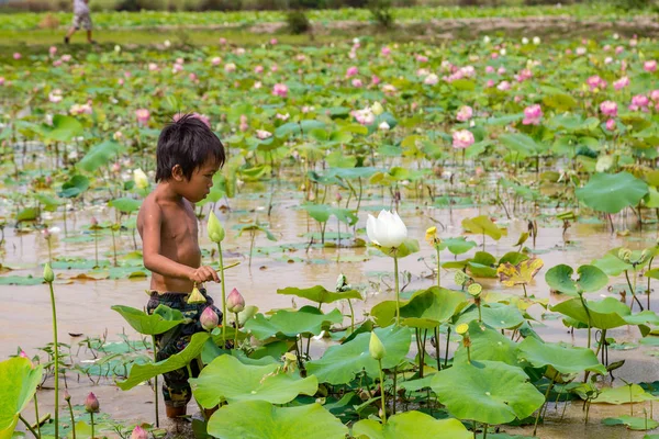 Siem Reap, Kamboçya - 11 Haziran 2018: Lotus Lotus çiftliğinin yakınlarında Siem Reap, Kamboçya'da bir yaz günü sahasının çocuk