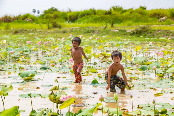 Siem Reap, Kamboçya - 11 Haziran 2018: Lotus Lotus çiftlik sahasının iki erkek Siem Reap, Kamboçya'da bir yaz günü yakın: