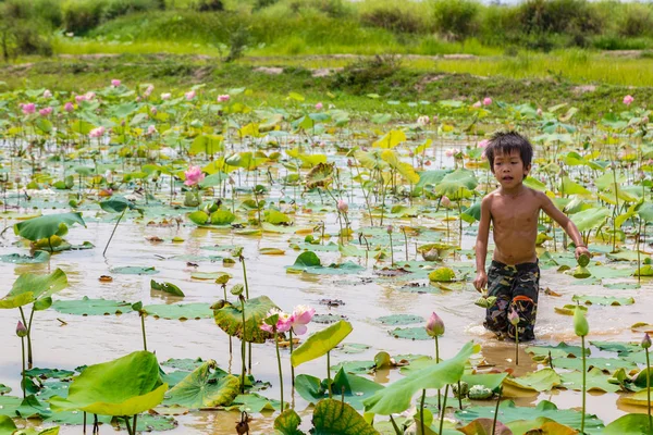 Siem Reap, Kamboçya - 11 Haziran 2018: Lotus Lotus çiftliğinin yakınlarında Siem Reap, Kamboçya'da bir yaz günü sahasının çocuk