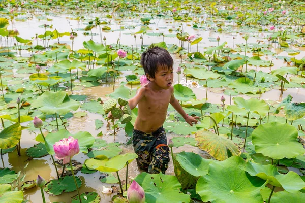 Siem Reap, Kamboçya - 11 Haziran 2018: Lotus Lotus çiftliğinin yakınlarında Siem Reap, Kamboçya'da bir yaz günü sahasının çocuk
