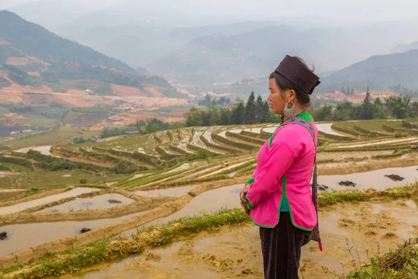 Sapa, Vietnam - 19 Haziran 2018: bir yaz günü Terraced pirinç alan Sapa, Lao Cai, Vietnam, geleneksel giysiler giyen kadın