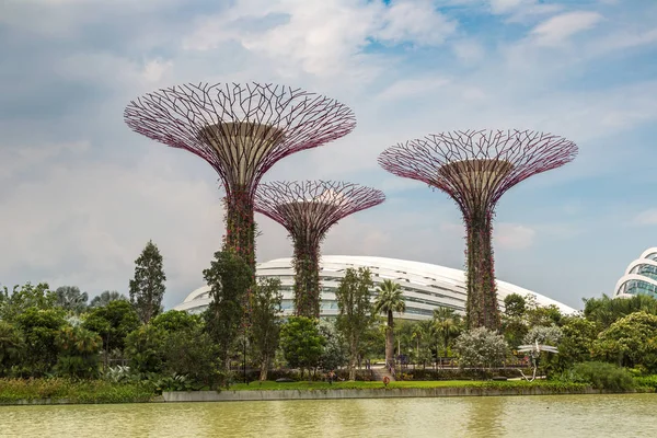 Singapur - 23 Haziran 2018: Supertree Grove Gardens koy ve Marina Bay Sands hotel yaz günü adlı yakınlarında Singapur serada tarafından