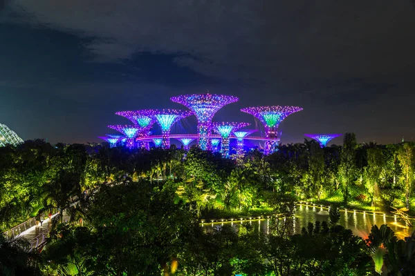 Singapur - 23 Haziran 2018: Supertree Grove Gardens Körfez Marina Bay Sands hotel yaz geceleri yakınındaki Singapur'da