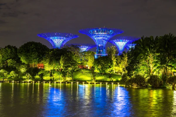 Singapore Junho 2018 Supertree Grove Gardens Bay Singapura Perto Hotel — Fotografia de Stock