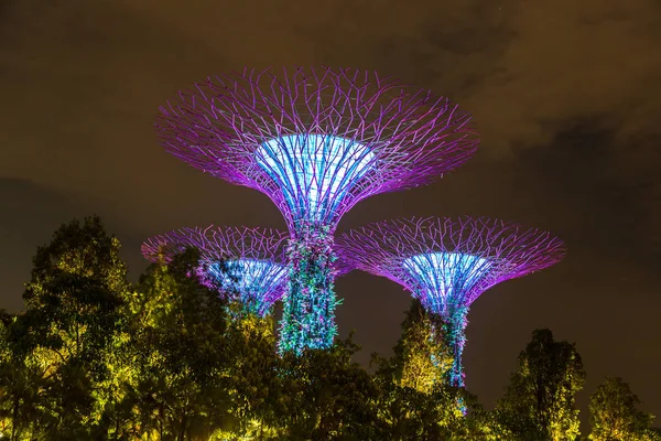 Singapur - 23 Haziran 2018: Supertree Grove Gardens Körfez Marina Bay Sands hotel yaz geceleri yakınındaki Singapur'da