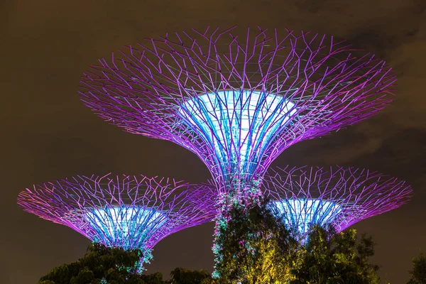 Singapur - 23 Haziran 2018: Supertree Grove Gardens Körfez Marina Bay Sands hotel yaz geceleri yakınındaki Singapur'da