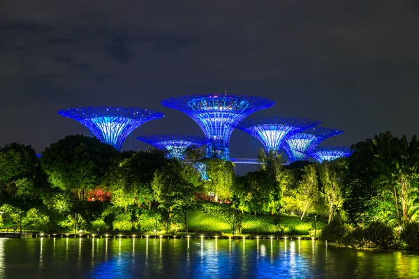 Singapur - 23 Haziran 2018: Supertree Grove Gardens Körfez Marina Bay Sands hotel yaz geceleri yakınındaki Singapur'da