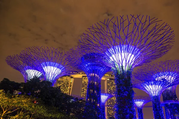 Singapur - 23 Haziran 2018: Supertree Grove Gardens Körfez Marina Bay Sands hotel yaz geceleri yakınındaki Singapur'da