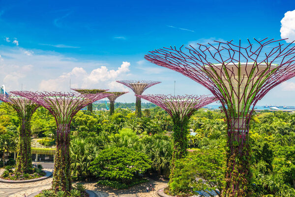 SINGAPORE - JUNE 23, 2018: The Supertree Grove at Gardens by the Bay in Singapore near Marina Bay Sands hotel at summer day
