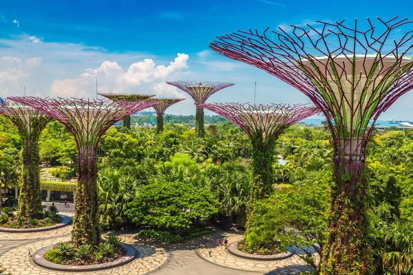SINGAPORE - 23 Haziran 2018 'de Marina Körfezi Sands Oteli yakınlarındaki Singapur Körfezi yakınlarındaki Gardens' taki Supertree Grove