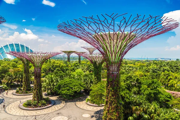 Singapur - 23 Haziran 2018: Supertree Grove Gardens koy ve Marina Bay Sands hotel yaz günü adlı yakınlarında Singapur serada tarafından