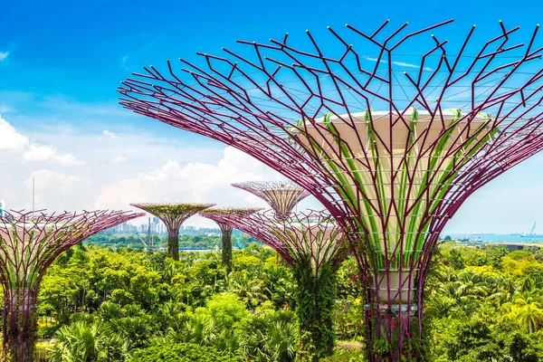 SINGAPORE - 23 Haziran 2018 'de Marina Körfezi Sands Oteli yakınlarındaki Singapur Körfezi yakınlarındaki Gardens' taki Supertree Grove