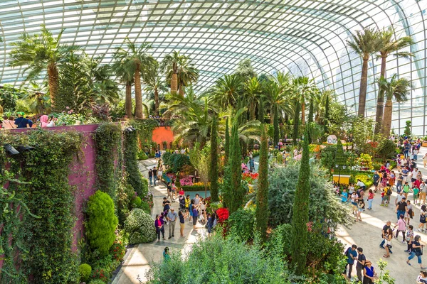 Singapur - 23 Haziran 2018: Konservatuvarı çiçek kubbe Singapur yaz gün