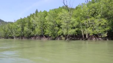 Cheow Lan Gölü 'nde, Ratchaprapha Barajı' nda, Tayland 'da Khao Sok Ulusal Parkı' nda yaz günü