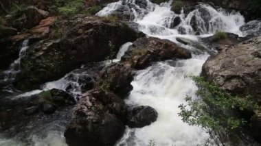 Dalat, bir yaz günü Vietnam'da Datanla şelale