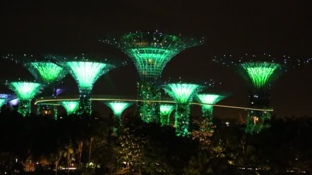 Singapore Junho 2018 Supertree Grove Gardens Bay Singapura Perto Hotel — Vídeo de Stock