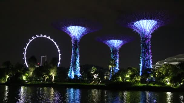 Singapore Juni 2018 Supertree Grove Gardens Viken Singapore Nära Marina — Stockvideo