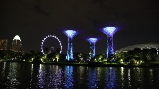 Singapur Junio 2018 Supertree Grove Gardens Bay Singapur Cerca Del — Vídeos de Stock