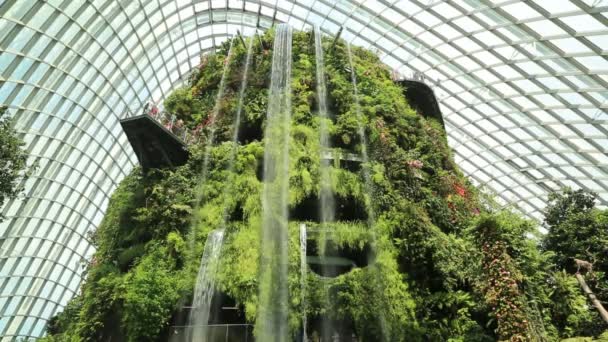 Singapore Juni 2018 Wasserfall Wintergarten Nebelwaldkuppel Singapore Sommertagen — Stockvideo