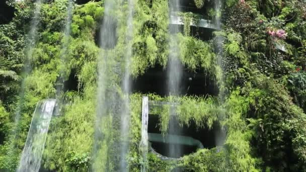 Singapur Junio 2018 Cascada Cúpula Del Bosque Nuboso Del Conservatorio — Vídeos de Stock