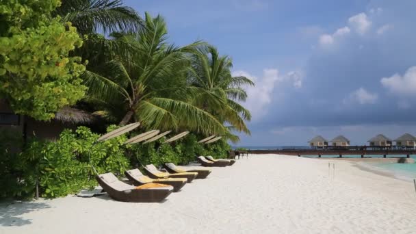 Lettini Legno Sulla Spiaggia Tropicale Delle Maldive Durante Giornata Estiva — Video Stock