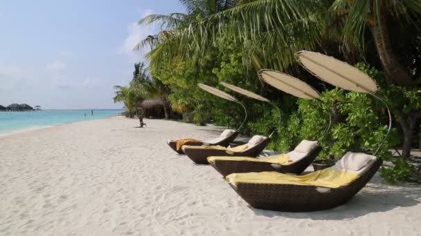 Holzliegen Tropischen Strand Der Malediven Sommertag — Stockvideo