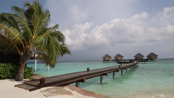 Water Villas Bungalows Puente Madera Playa Tropical Las Maldivas Día — Vídeo de stock