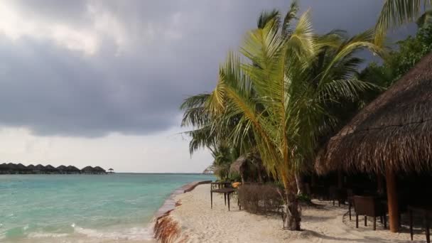 Spiaggia Tropicale Alle Maldive Una Giornata Estiva — Video Stock